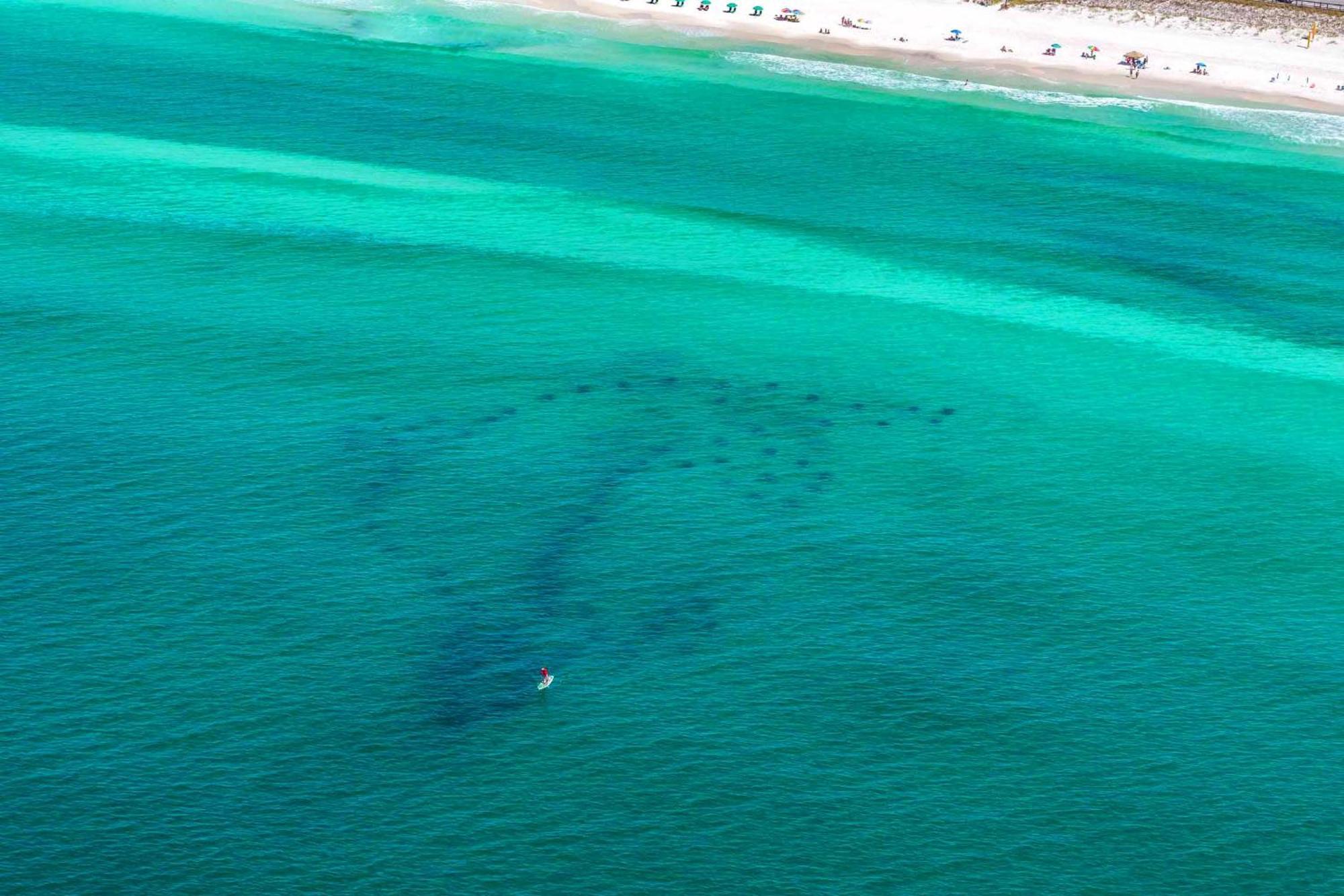Ariel Dunes I 1307 Destin Luaran gambar